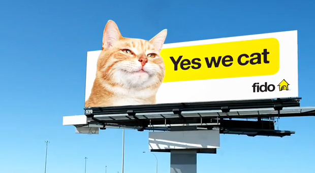 Fido "Yes We Cat" rebranding