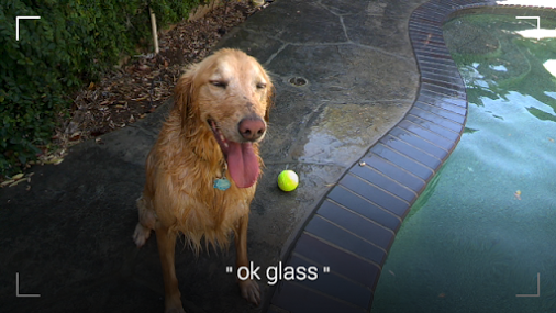 Viewfinder on Google Glass